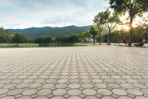 Best Driveway Paving Contractor  in Birch Bay, WA